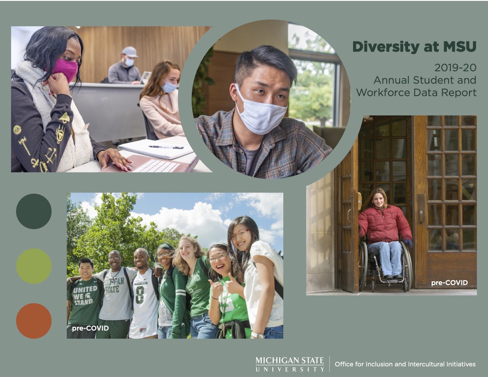 Office for Inclusion and Intercultural Initiatives releases Diversity at MSU Report